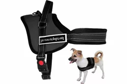 2 Imbracatura per cani regolabile riflettente antistrappo