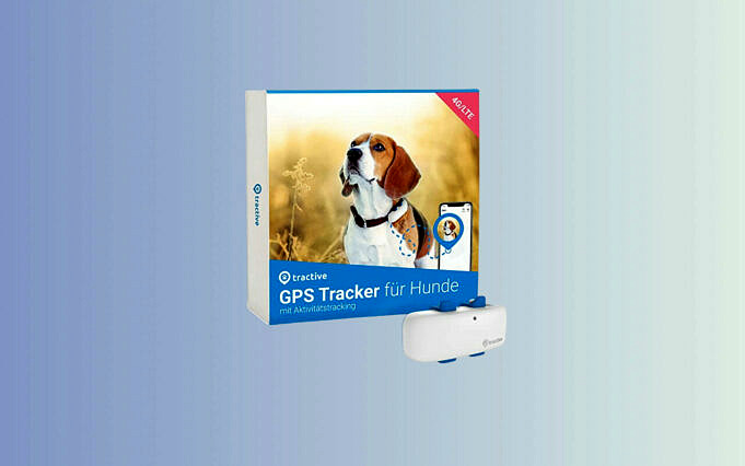 I Migliori Localizzatori GPS Per Cani Nel 2022